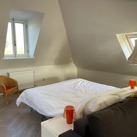 Fantastic And Spacious